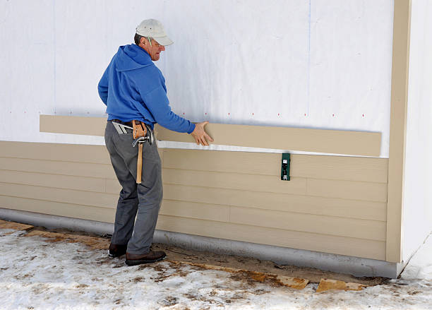 Best Aluminum Siding Installation  in Collings Lakes, NJ